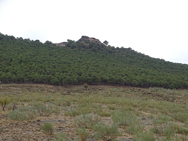 Castillo del Barranco Secano