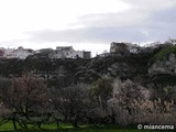 Castillo de Benamaurel