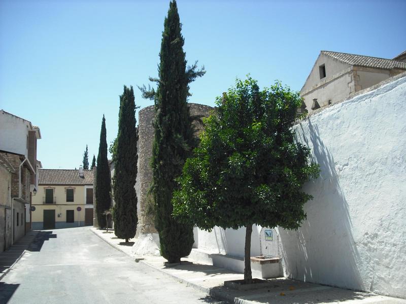 Castillo palacio de Padul