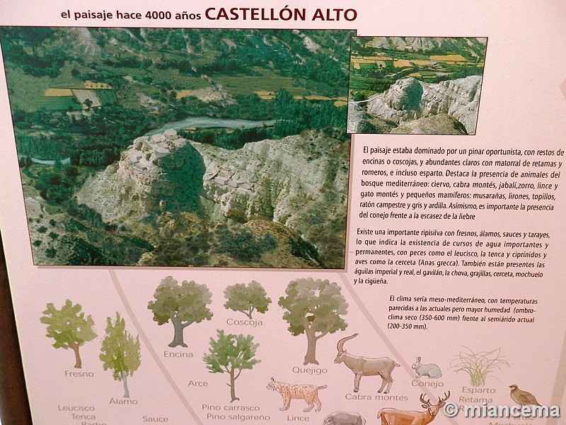 Recinto fortificado Castellón Alto