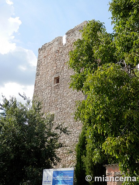 Castillo de Escamilla