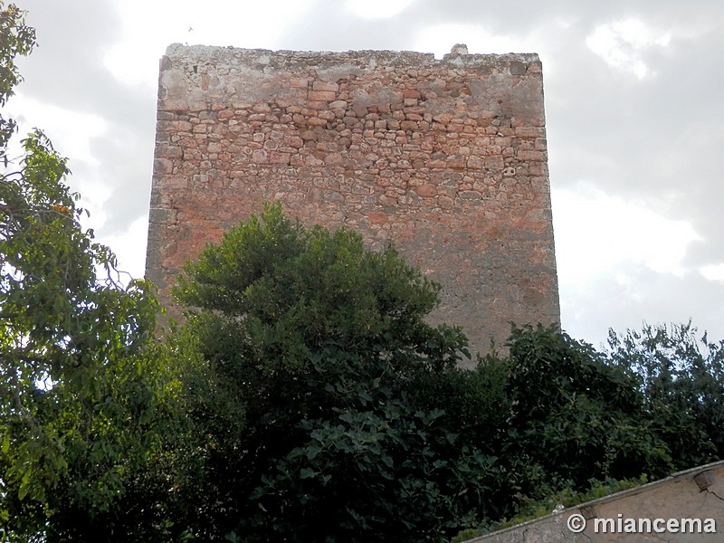 Castillo de Escamilla