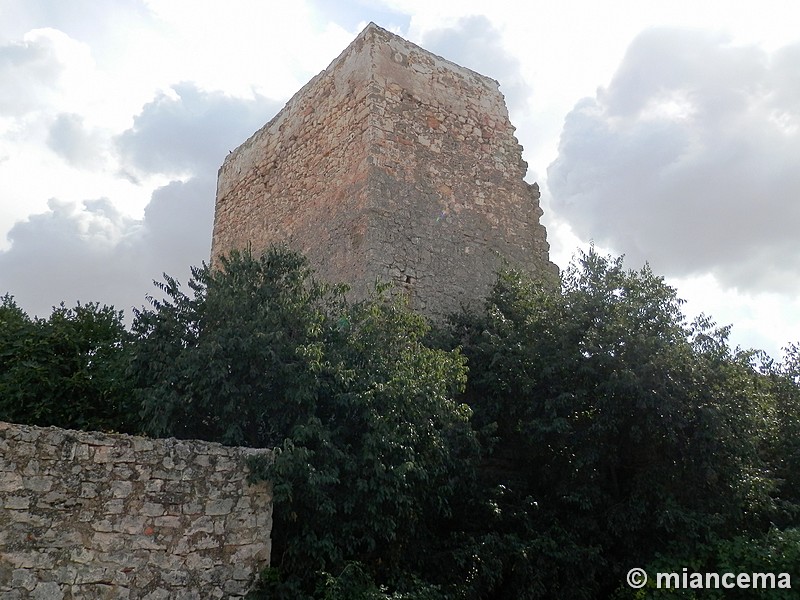 Castillo de Escamilla