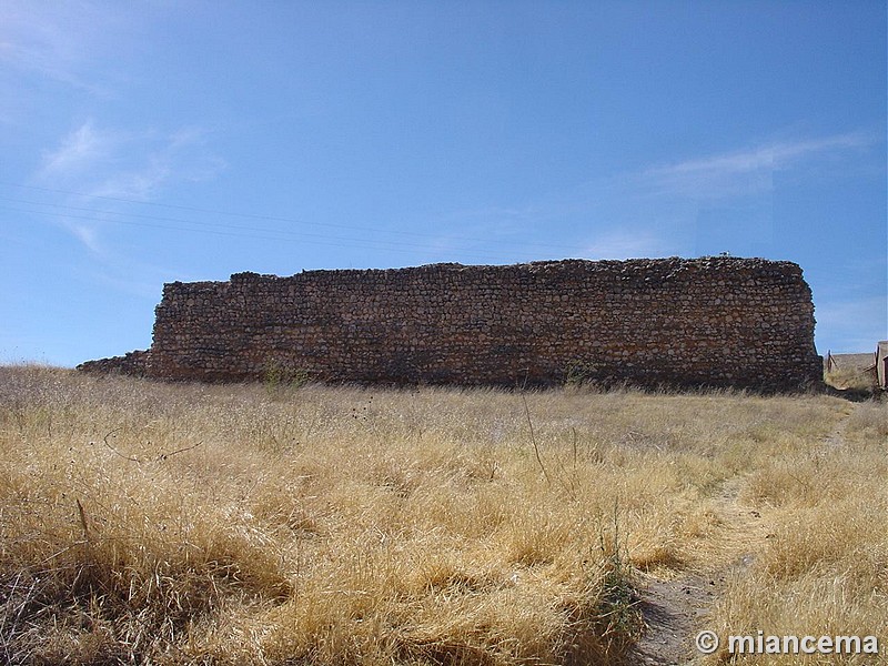 Muralla urbana de Fuentelencina