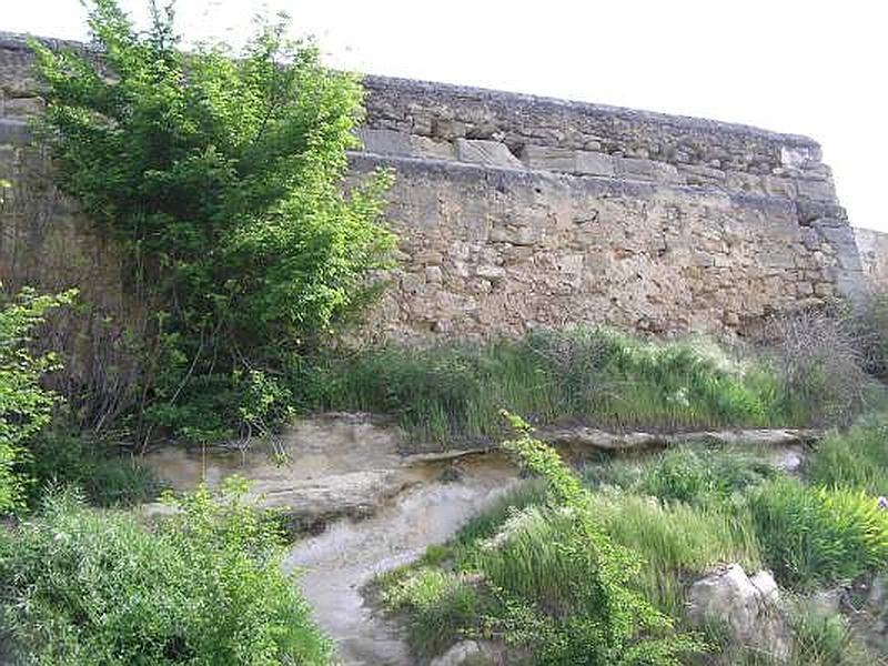 Muralla urbana de Alcocer