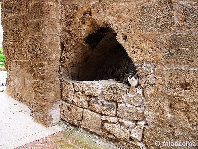 Puerta de Cozagón