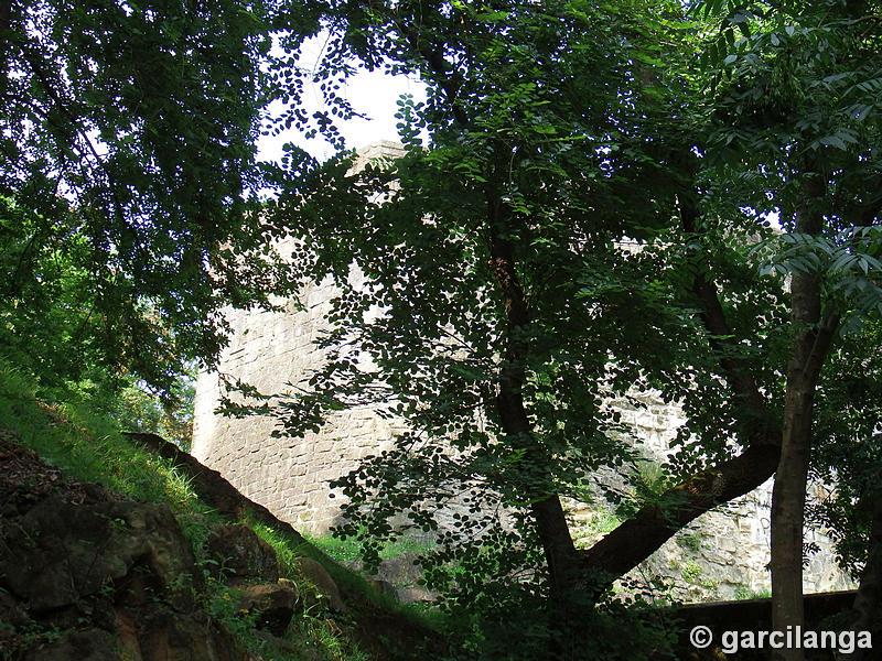 Castillo de La Mota