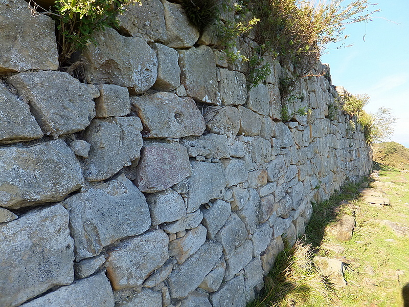 Fuerte de San Enrique