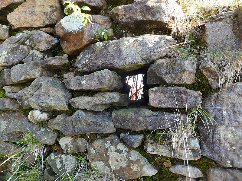 Fuerte de San Enrique