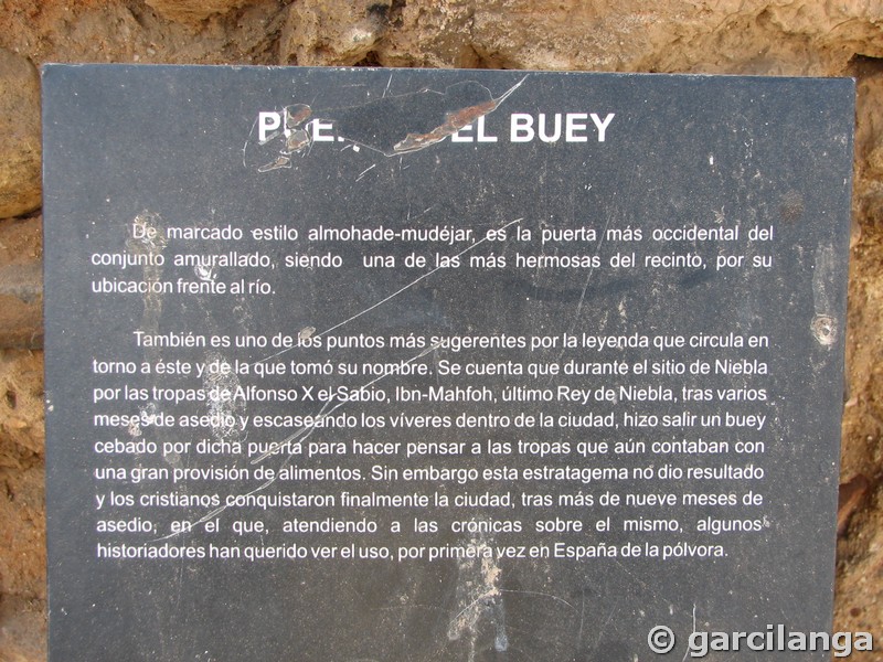 Puerta del Buey