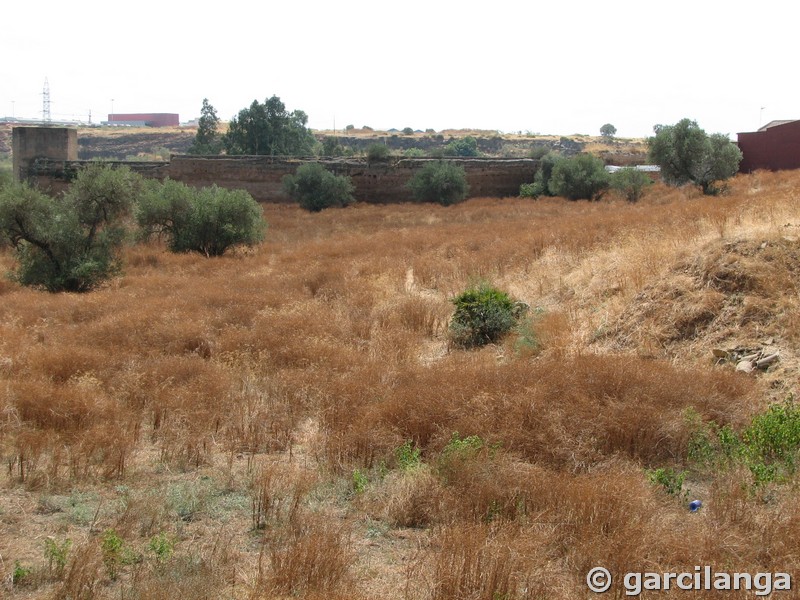 Muralla urbana de Niebla