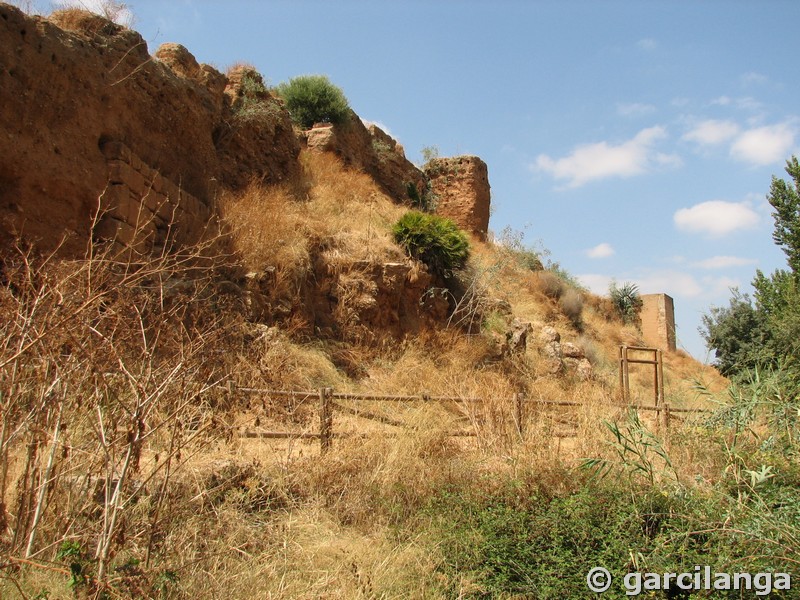 Muralla urbana de Niebla