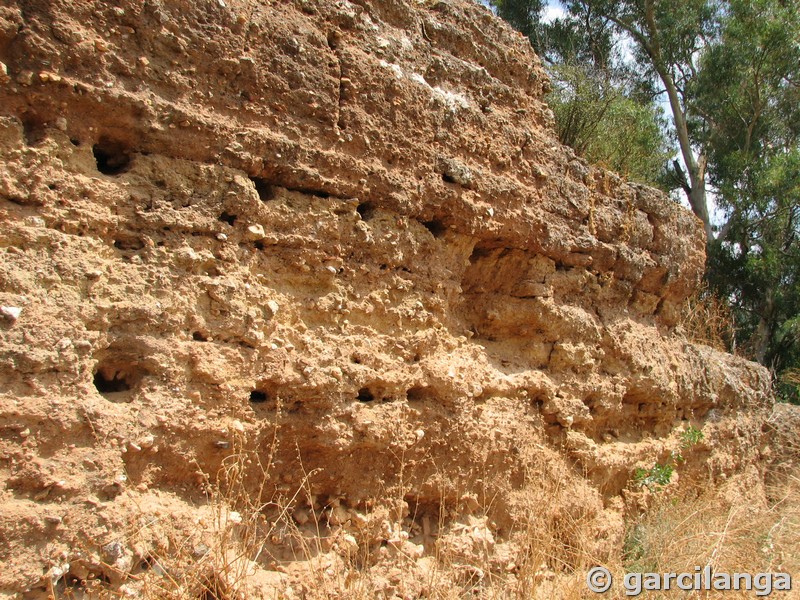 Muralla urbana de Niebla