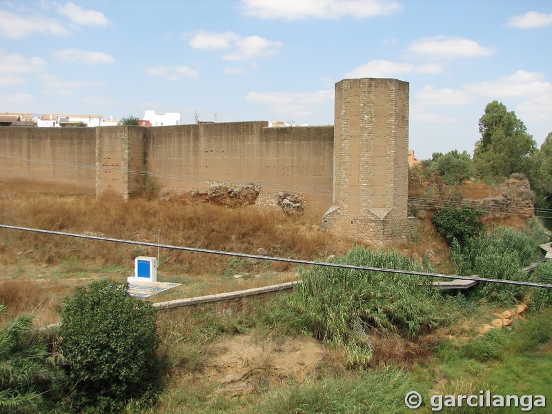 Muralla urbana de Niebla