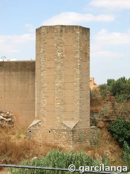 Muralla urbana de Niebla