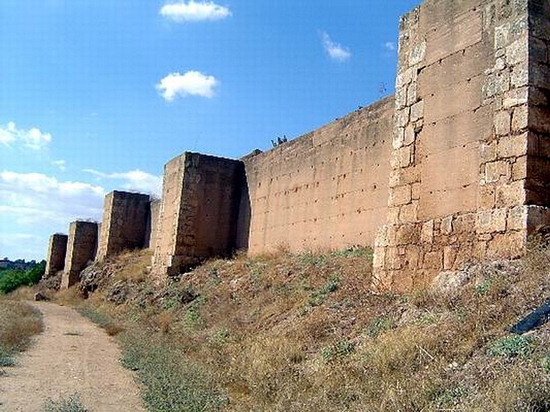 Muralla urbana de Niebla