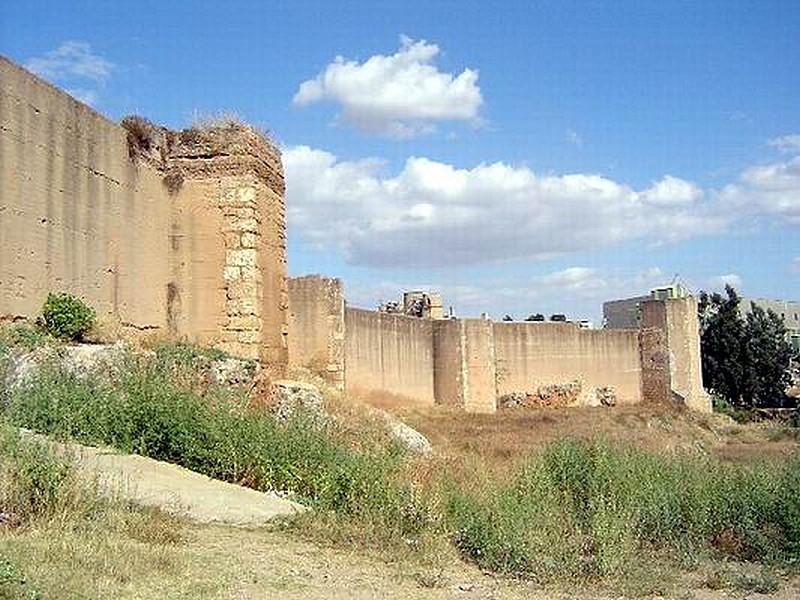 Muralla urbana de Niebla