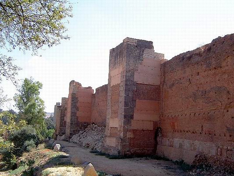 Muralla urbana de Niebla