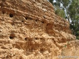 Muralla urbana de Niebla