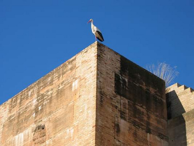 Castillo de los Zúñiga