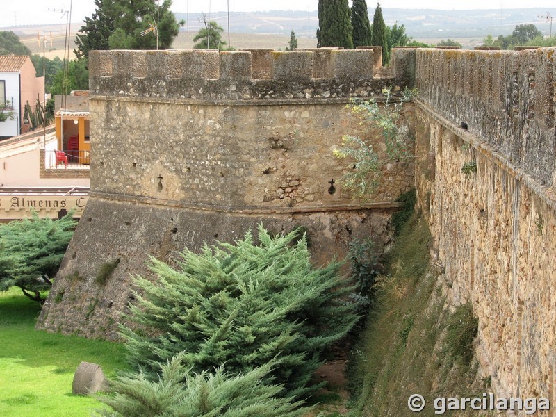 Castillo de los Guzmán