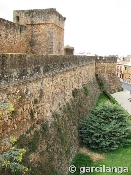 Castillo de los Guzmán