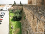 Castillo de los Guzmán