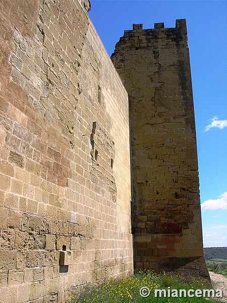 Castillo de Montearagón