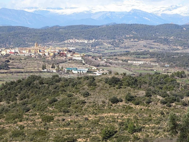 Castillo de La Puebla de Castro