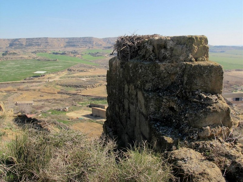 Castillo de Alberuela