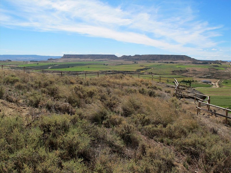 Castillo de Castelflorite