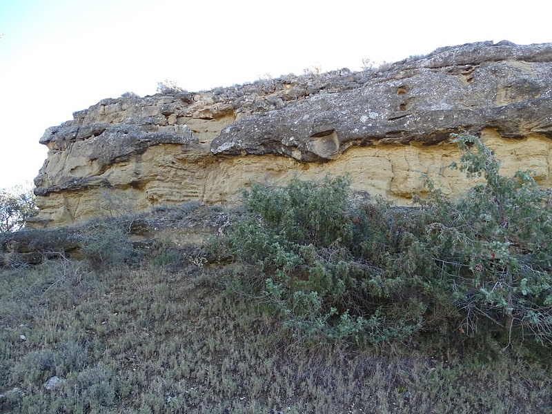 Castillo de Lizana