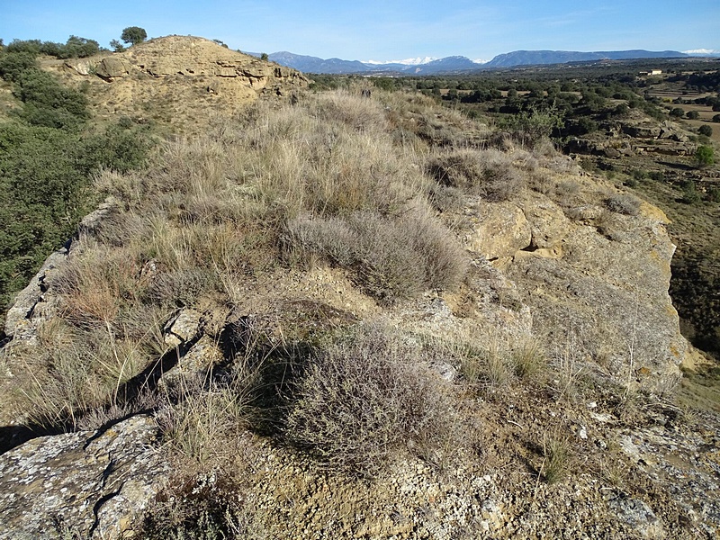 Castillo de Lizana