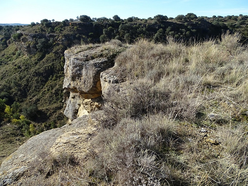 Castillo de Lizana