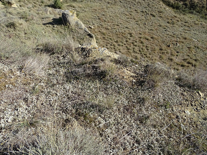 Castillo de Lizana