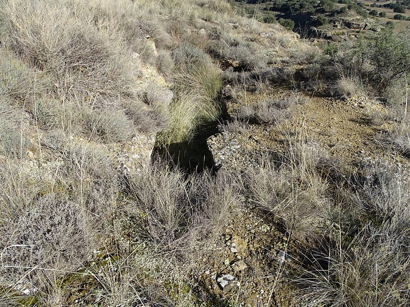 Castillo de Lizana