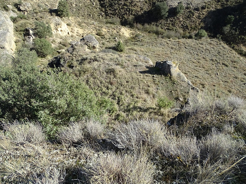 Castillo de Lizana