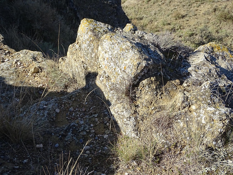 Castillo de Lizana