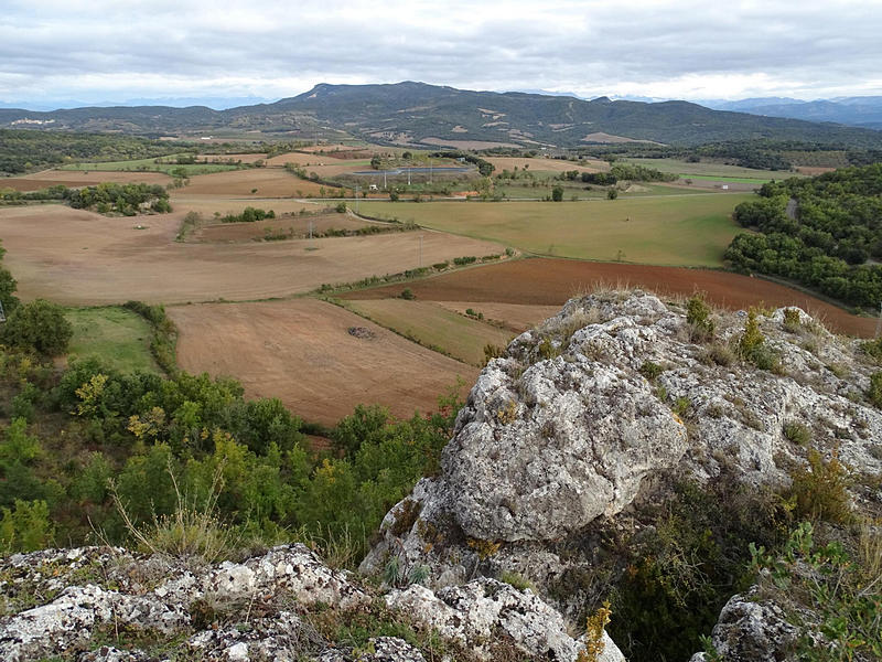 Castillo de Muñones