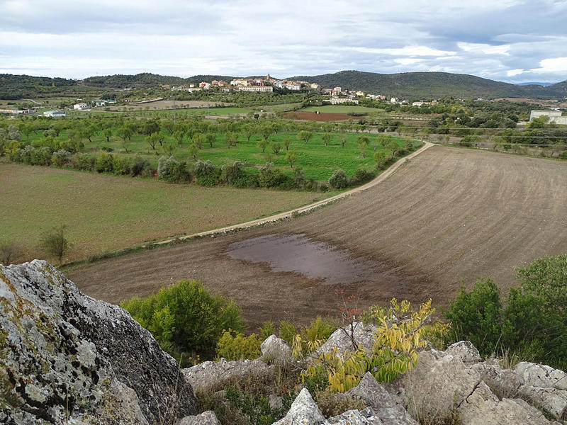 Castillo de Muñones