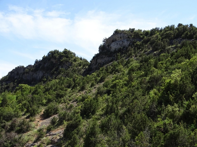 Castillo de la Cresta de Marmañana