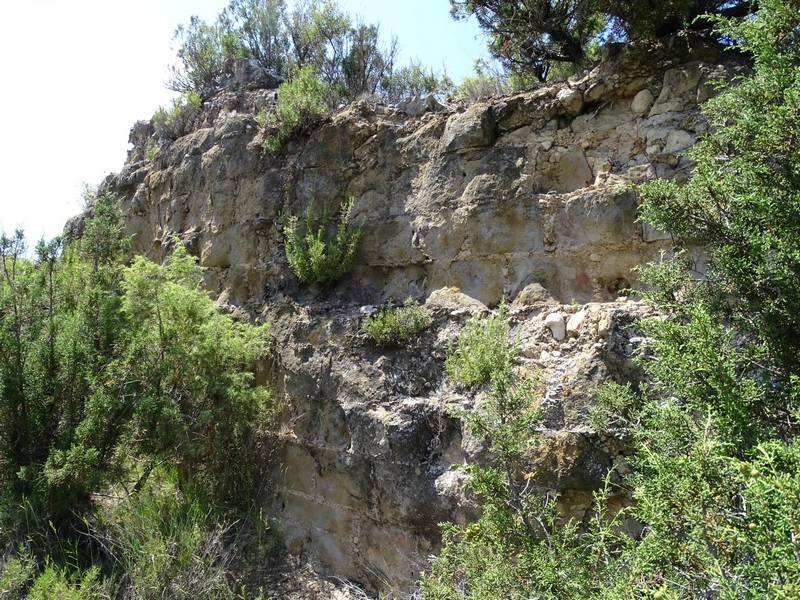 Castillo de la Cresta de Marmañana