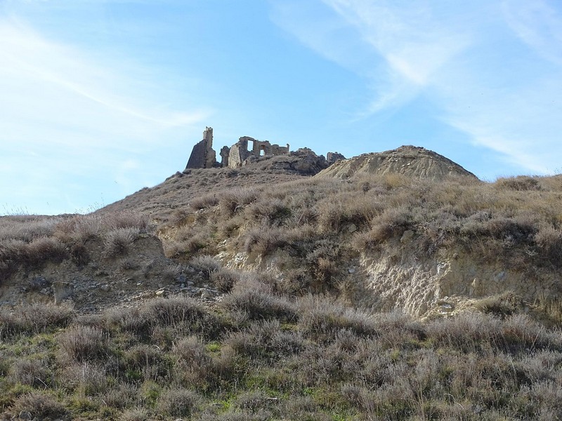 Castillo de Artasona