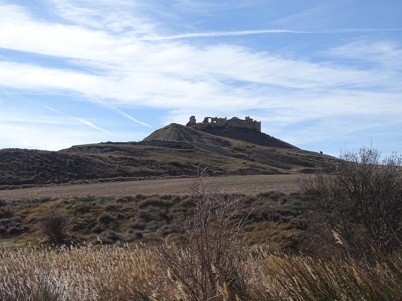 Castillo de Artasona