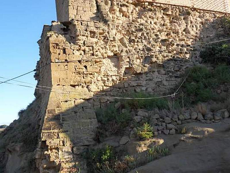 Castillo palacio de Argavieso