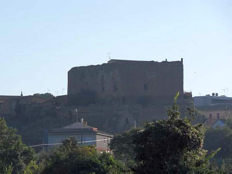 Castillo palacio de Argavieso