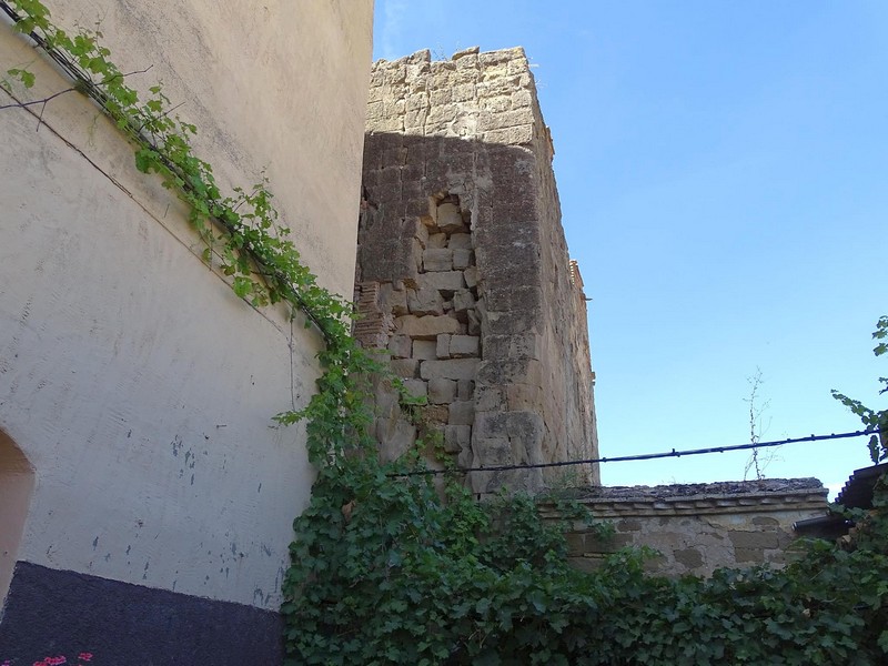 Castillo palacio de Argavieso