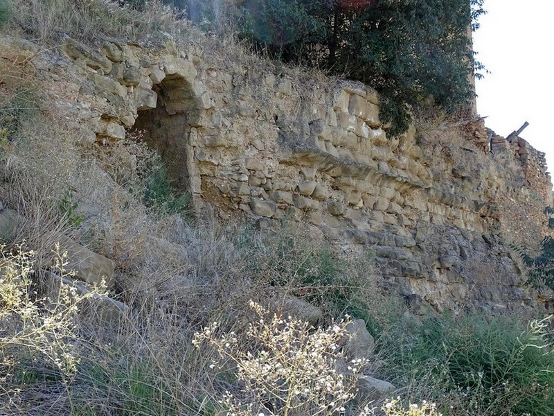 Castillo palacio de Argavieso