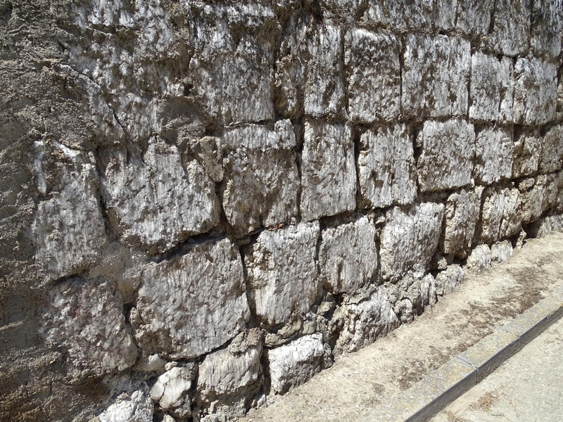 Muralla urbana de Alcalá de Gurrea