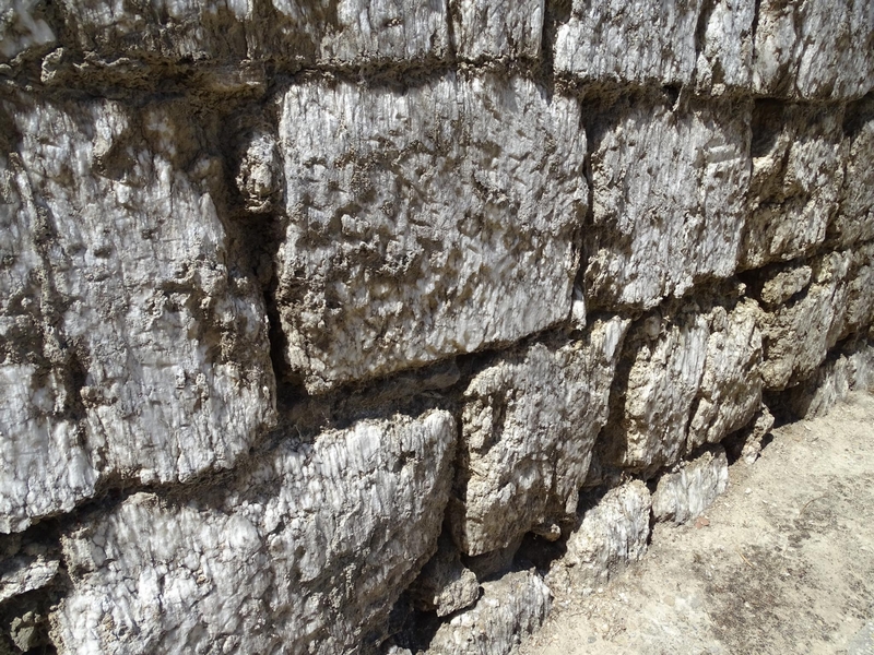 Muralla urbana de Alcalá de Gurrea